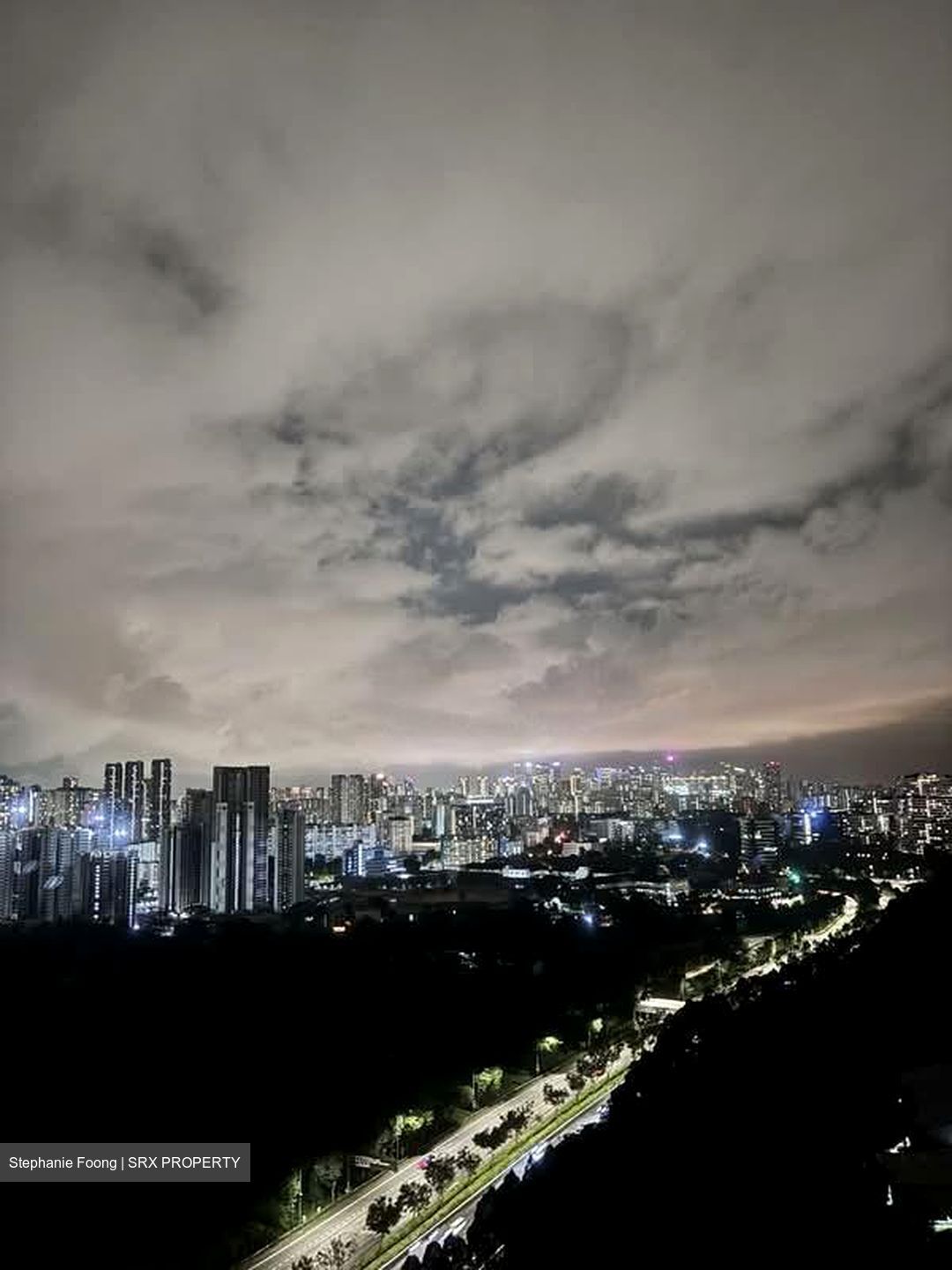 Normanton Park (D5), Apartment #568183081